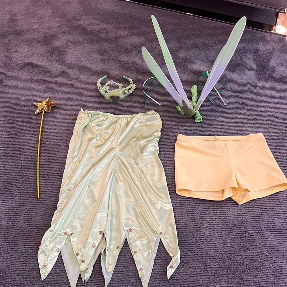Tinkerbell Costume
